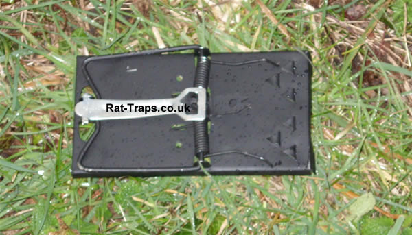 metal rat trap