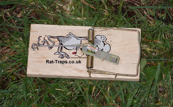 wooden rat trap