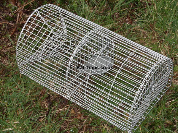 monarch rat trap