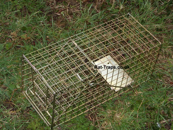 single catch rat trap